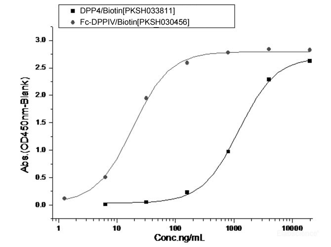 1. Measured by its binding ability in a functional ELISA. Immobilized Spike Protein S1 (aa 1-725）(Cat: PKSV030241) at 10 μg/ml (100 μl/well) can bind biotinylated human DPP4 (Cat: PKSH033811).The EC50 of of biotinylated DPP4 (Cat: PKSH033811) is 0.6-1.39
