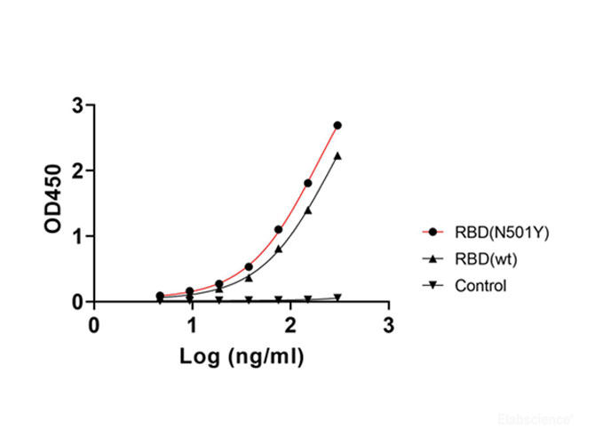 Measured by its binding ability in a functional ELISA. Immobilized Human ACE2 (Fc tag)(Cat: PKSR030492) at 2 μg/mL (100 μL/well) can bind SARS-CoV-2 (2019-nCoV) Spike RBD(N501Y)(Cat:PKSV030318), the EC50of PKSV030318 is 190.3ng/mL,meanwhilethe EC50of WT R