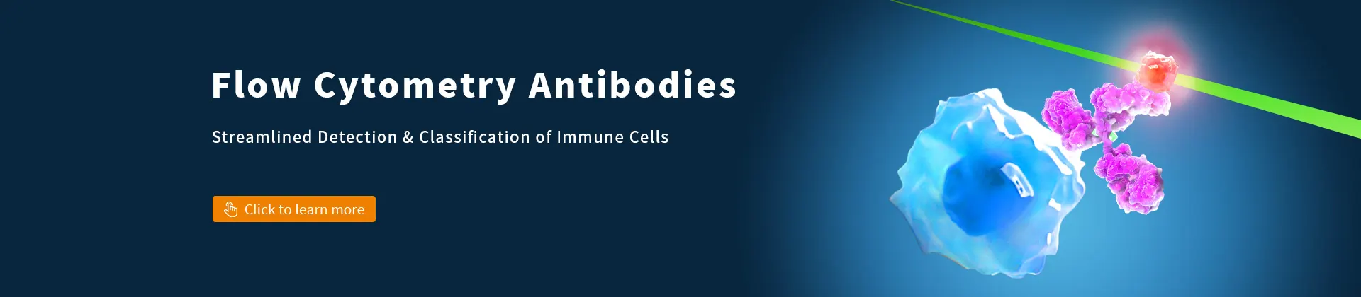Flow Cytometry Antibodies