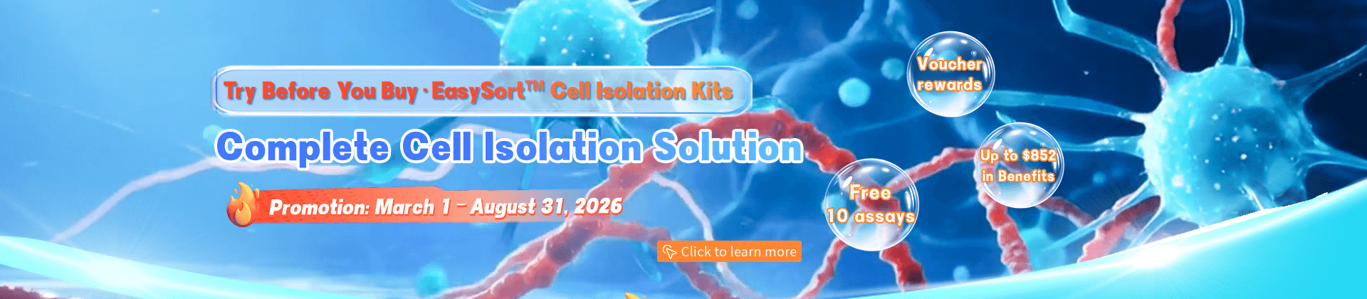 We Streamlined, You Save