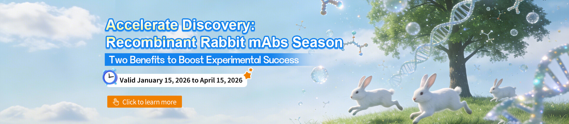 We Streamlined, You Save